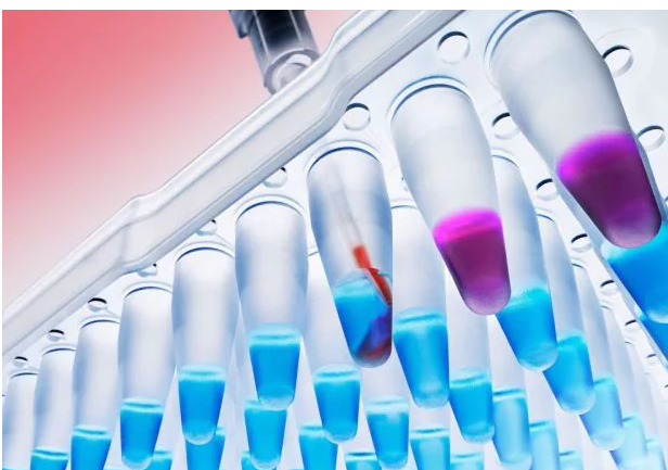 Molecular Biology
